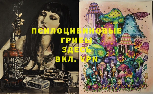 мдма Заводоуковск