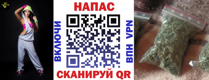 Бошки Шишки конопля  Купить  Гатчина 